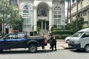 Tổng Giám đốc Công ty CP Quốc Cường Gia Lai Nguyễn Thị Như Loan bị bắt