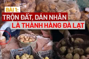 VIDEO ĐIỀU TRA: Bài 1 - Trộn đất, dán nhãn là thành nông sản Đà Lạt