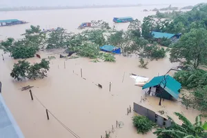 CẬP NHẬT: Lũ sông Hồng đạt mức lịch sử 20 năm, đe dọa Hà Nội và nhiều tỉnh lân cận