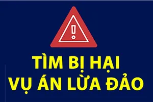 Lợi dụng danh nghĩa giám đốc kinh doanh để lừa huy động vốn rồi tiêu xài cá nhân