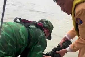 Hải Phòng: CSGT, Biên phòng cứu sống một người phụ nữ nhảy cầu Bính