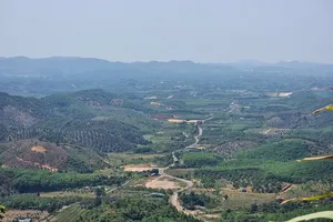 Công an Lâm Đồng truy tìm ô tô gây tai nạn chết người rồi bỏ trốn