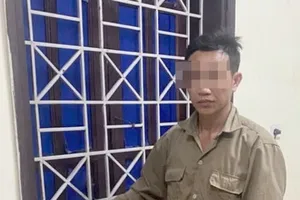 Tạm giữ người hành hung, bắt cô giáo đứng dưới mưa ở Nghệ An