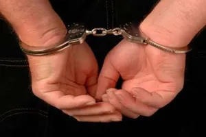 Bà Trần Việt Nga, Cục trưởng Cục An toàn thực phẩm bị bắt giam