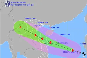 Bão số 10 áp sát vùng biển Đà Nẵng, hướng về Quảng Trị, Ninh Bình