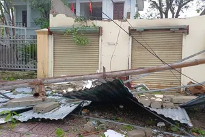 Bão số 10 tràn qua Nghệ An gây thiệt hại nặng nề