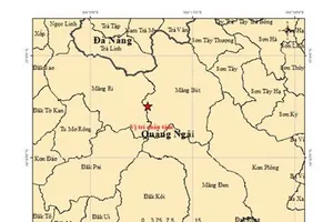 Liên tiếp xảy ra 8 trận động đất trong rạng sáng 13-10 ở Quảng Ngãi