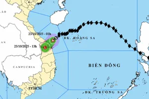Bão số 12 thành áp thấp nhiệt đới, đang ảnh hưởng khu vực Trung Trung Bộ