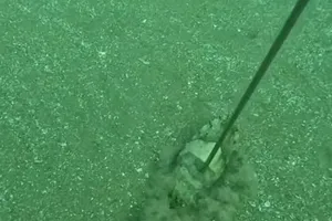 1 người đàn ông ở Quảng Ngãi tử vong khi lặn biển, nghi do bị chuột rút