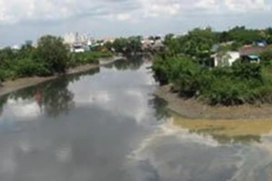 Tây Ninh: Phát hiện hai bé gái tử vong bên bờ sông ở xã Cần Giuộc