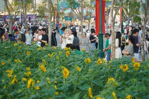 Tết Dương lịch 2024, người dân "ùn ùn" đổ về vườn hoa dương dương tại công viên bờ sông Sài Gòn để check in.