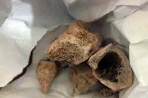 Gia đình nạn nhân bị vợ bí thư đốt xác nhận tro của mẹ về làm lễ an táng