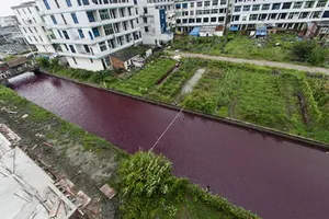 Bí ẩn nước sông ở Trung Quốc đổi sang màu máu qua một đêm