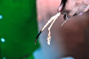 Cận cảnh gần 2 tấn mực khô cháy thì khét lẹt, nhúng nước thì co dãn như cao su