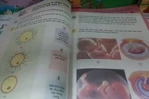 Sách lớp 5 dạy về phụ nữ có thai: Chủ biên sách nói gì?