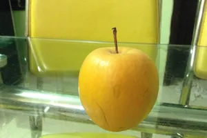 Trái táo để 9 tháng không hỏng