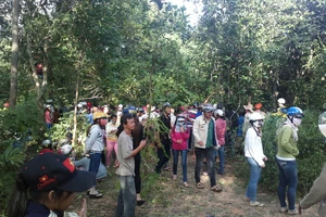 Phát hiện thi thể thiếu nữ bị mất tích trong rừng sâu