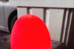 Ôm nợ vì đua nhau mua 'đá lạ' cho thương lái TQ