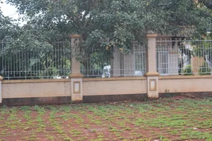 Thực nghiệm hiện trường vụ CSGT trạm Suối Tre bắn chết lãnh đạo