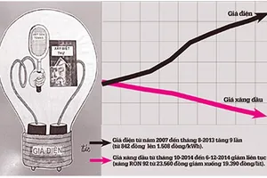 Giá xăng giảm kỷ lục: 'Quà giáng sinh' hay 'liều thuốc gây mê'?