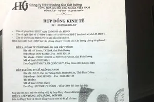 Ông Dũng 'lò vôi' nói gì về vụ án nghi buôn lậu gỗ?