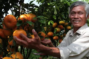 Sản phẩm độc đáo của 'lão nông triệu phú'