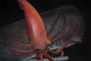 10 điều bí ẩn dưới đáy đại dương gây sốc