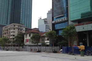 Có nên thay cây giáng hương trên đường Nguyễn Huệ?