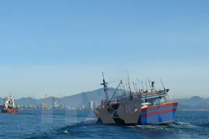 Huy động cả tàu cá tham gia tìm kiếm hai máy bay SU-22 bị rơi