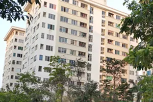 Bé 4 tháng tuổi bị mẹ ruột đang điều trị tâm thần sát hại