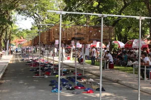 Gần 500 chú chim chào mào tranh tài