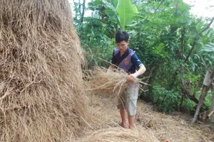 Thí sinh có điểm thi đại học cao nhất nước là người khuyết tật