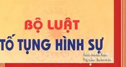Một số ý kiến về quyền của người bị bắt, bị tạm giữ, bị can, bị cáo