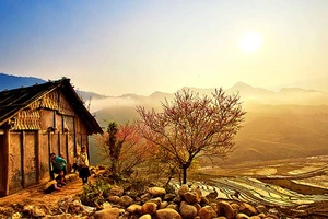 Hình ảnh Việt Nam đẹp lộng lẫy đến khó tin