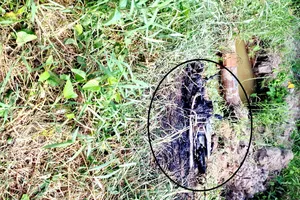 Xe đột nhiên bốc cháy, hoảng hồn bỏ của chạy lấy người 