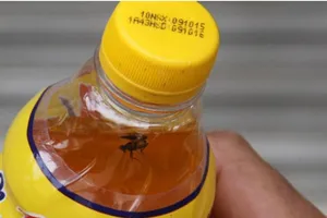 Tân Hiệp Phát điều tra, nghiên cứu chai nước Number 1 có ruồi