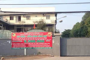 Đìu hiu tuyển dụng đầu năm