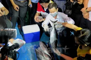 Lập hội đồng khoa học quốc gia để tìm nguyên nhân cá chết