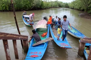 Bầu cử ở ấp Mũi, điểm tận cùng phía Nam Tổ quốc