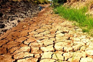 Đồng bằng sông Cửu Long không còn là miền đất trù phú