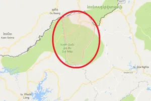 Danh tính 3 người bị bắn chết, 15 người bị thương