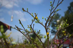 Phiên tòa cuối năm, người cha và hai đứa trẻ...