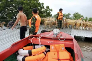 May mà có các anh bộ đội!