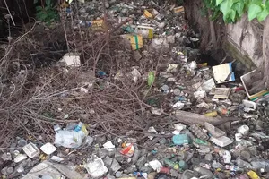 Kinh hoàng rác bẩn trên kênh Rạch Dừa