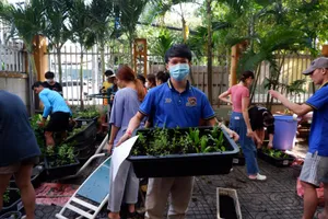 TP.HCM: Sinh viên Lào trồng cây rau thuốc nam tạo mảng xanh tại ký túc xá