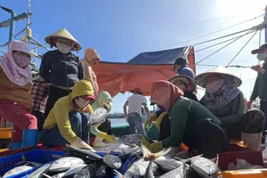 Chương trình cùng ngư dân thắp sáng đèn trên biển của báo được nhiều địa phương đánh giá cao. Ảnh: HOÀNG GIANG