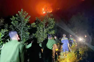 Tuyên Quang: Lập hồ sơ đề nghị công nhận liệt sĩ cho người tử vong khi chữa cháy rừng 