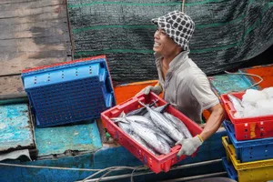 Gia Lai vượt khó cùng cả nước gỡ thẻ vàng IUU