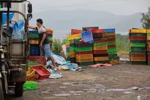 Nồng nặc mùi hôi thối tại điểm danh thắng vịnh Xuân Đài