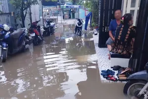 Sửa hẻm chính, hẻm nhánh ngập nặng